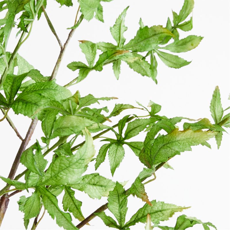 Potted Faux Green Maple Tree 7.5'