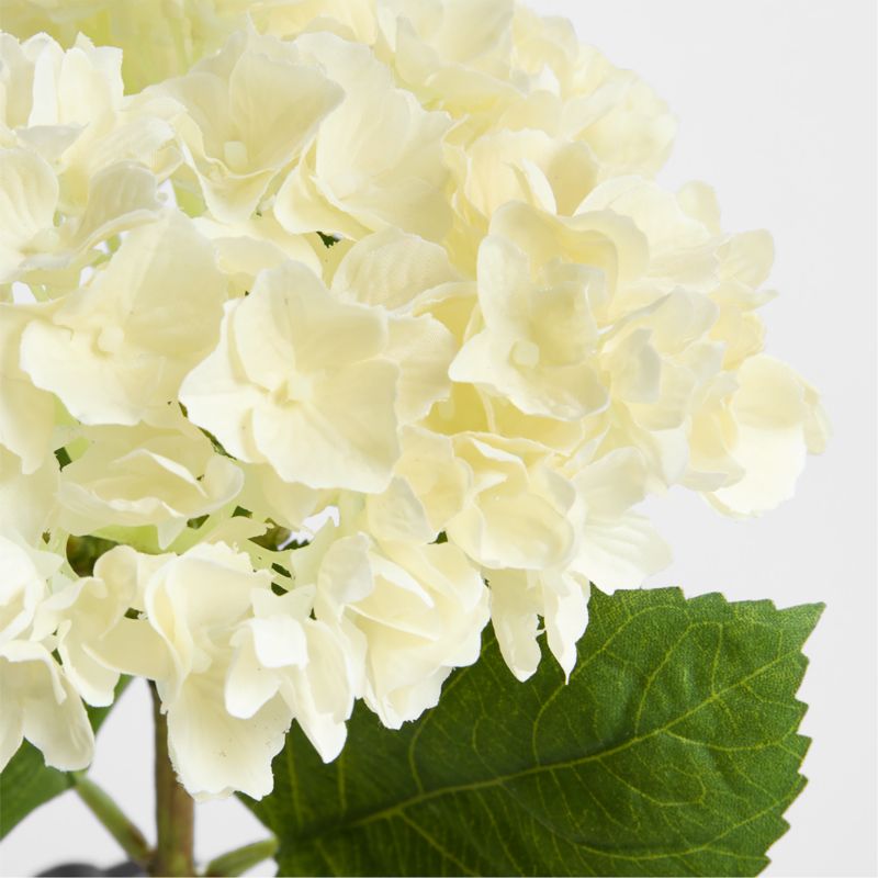 Faux Cream Hydrangea Stem 14' by Abigail Ahern