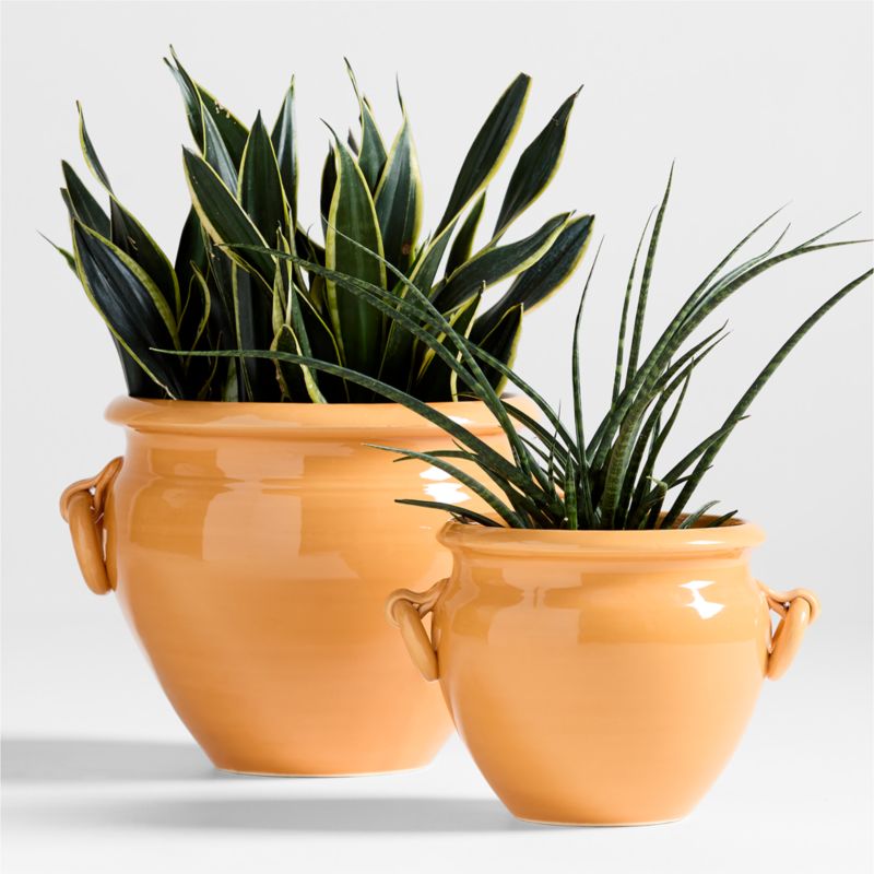 Genoa Small Tuscan Yellow Italian Ceramic Indoor/Outdoor Planter 10'x9.5'