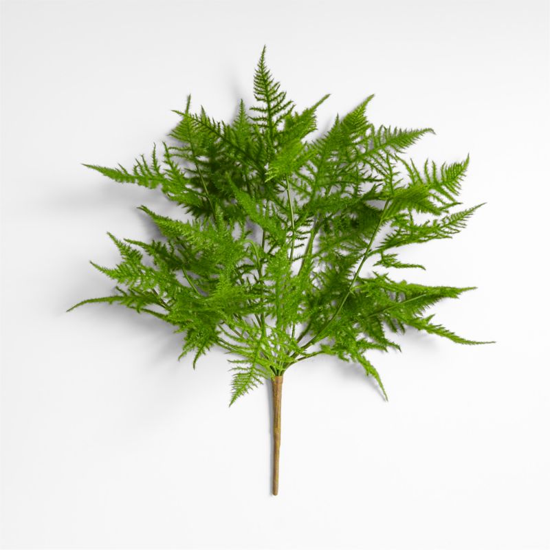 Faux Plumosa Fern Leaf Stem