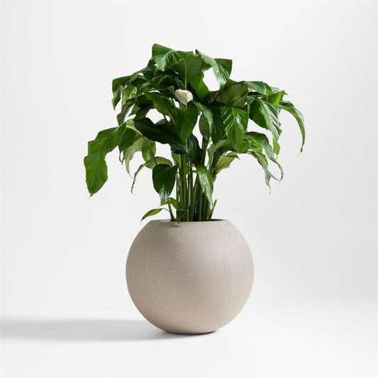 Sphere Large Sand Indoor/Outdoor Planter 26'x22.5'